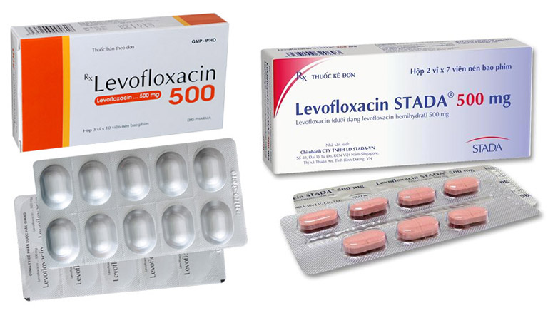 Levofloxacin IV 500mg/ngày hoặc Ciprofloxacin IV 400mg/12 giờ